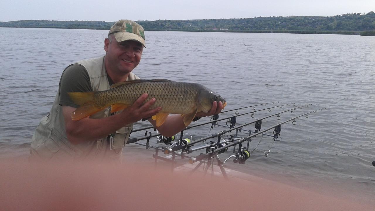 concurs balta  vlahii      Mai 2015 - una din frumoasele si multiplele capturi.